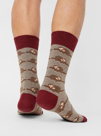 Coffret cadeau chaussettes bio - lot de 3 chaussettes à motif animalier dans coffret cadeau, Animaux 4
