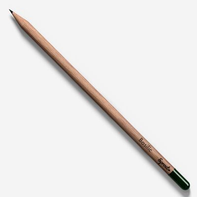 Lápices para plantar brotes