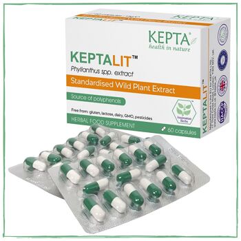 KEPTALITE 3