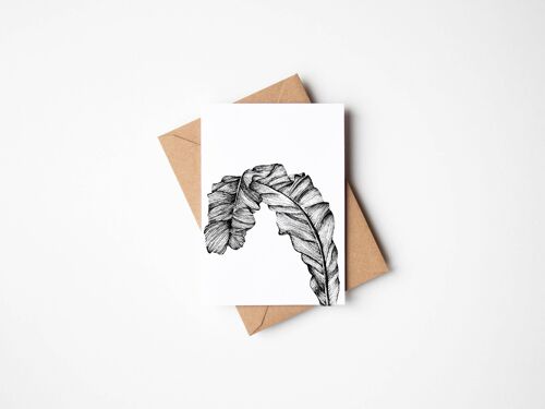 Birds Nest Fern Greeting Card