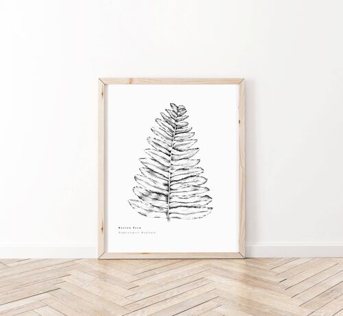 Boston Fern Art Print A5