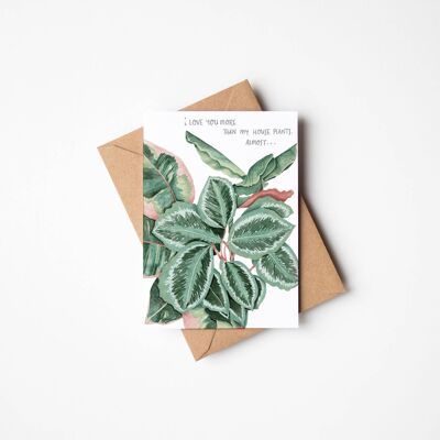 Carte d'amour de plante d'intérieur