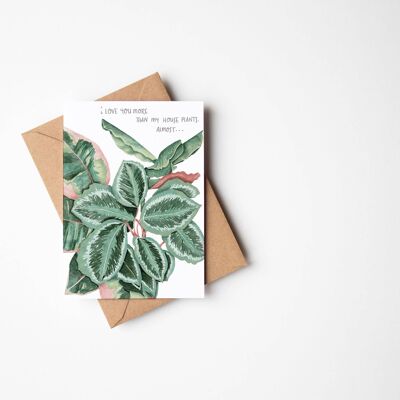 Carta d'amore per piante d'appartamento