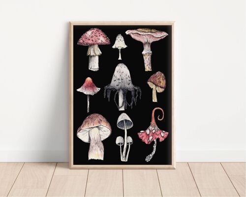 Wild Fungi A4 Art Print Black