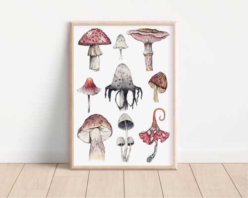 Wild Fungi White A4 Art Print