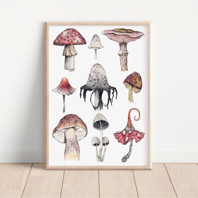 Stampa artistica A4 bianca di funghi selvatici