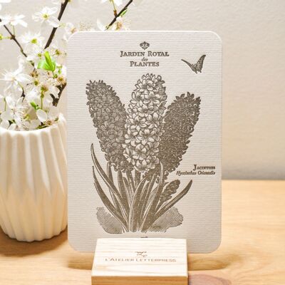 Carte Letterpress Jacinthes, fleur, botanique, vintage, papier vergé épais