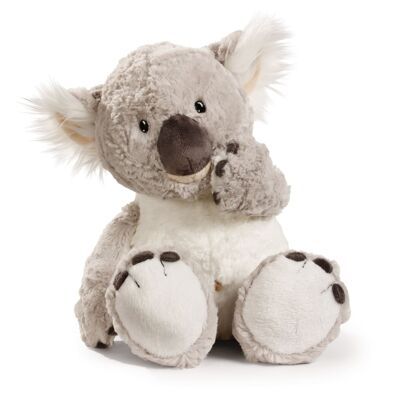 Koala 25cm suspendu