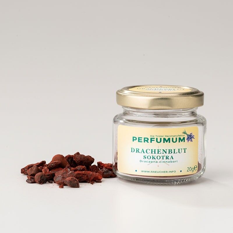 Dragon blood resin from Socotra