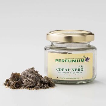 Copal Néron - Copal Nègre 1