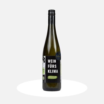 WEIN FÜRS KLIMA
GRÜNER VELTLINER RIED LOISERWEG 2020