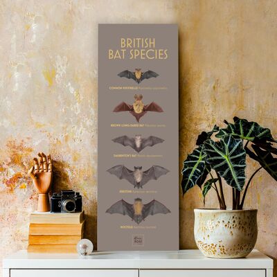 Especies de murciélagos británicos: solo impresión, A3 delgado, 148,5 x 420 mm