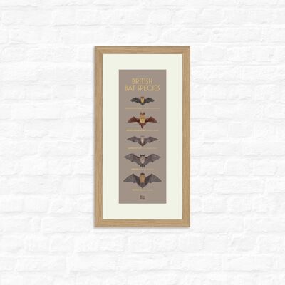 British Bat Species - Print + oak frame , Slim A3, 148.5 x 420 mm