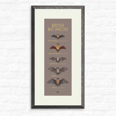 Especies de murciélagos británicos - Impresión + marco de peltre, slimline-a2