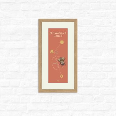 Bee Waggle Dance - Print + oak frame , Slim A3, 148.5 x 420 mm