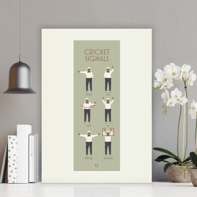 Cricket Signals - Mounted on panel , slimline-a2