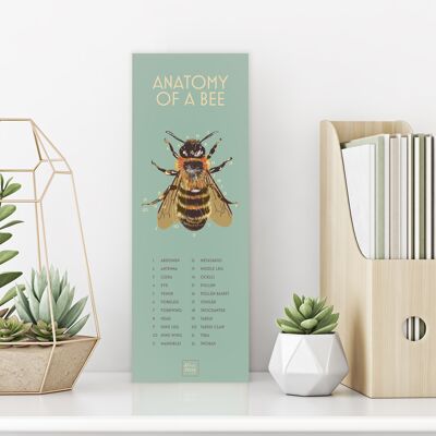 Bee Anatomy - Print only , Slim A3, 148.5 x 420 mm