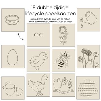 Mini cartes à jouer cycle de vie 'ferme' : poulet - abeille - tournesol 2