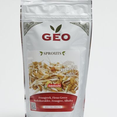 Semillas de fenogreco bio 5 kg