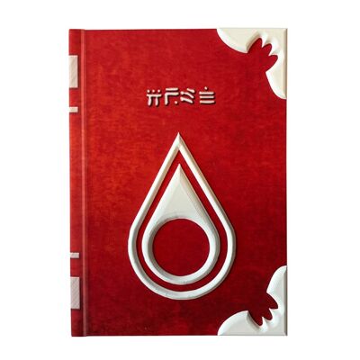 3D Fire Emblem Spell Tomes Fire Robin inspired personalized hardcover journal notebook