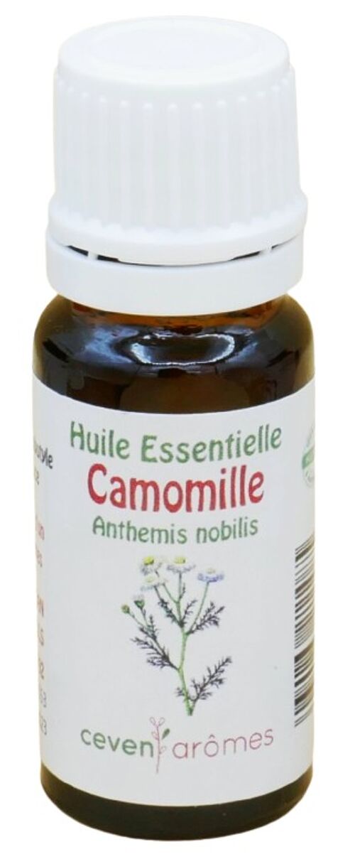 Camomille 10ml Huile essentielle