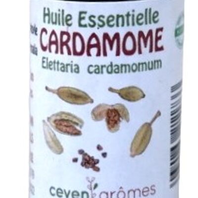 Cardamome - Huile essentielle 10ml