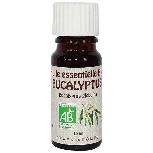 Eucalyptus 10ml Huile essentielle bio