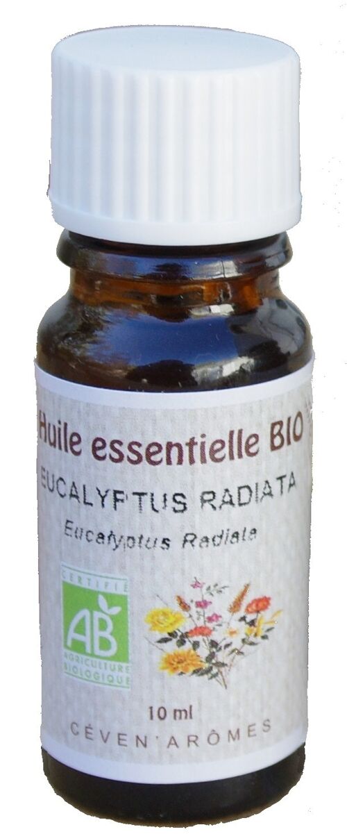 Eucalyptus Radiata 10ml Huile essentielle Bio