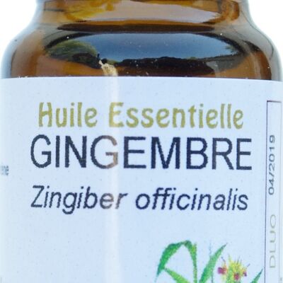 Gingembre 10ml Huile essentielle