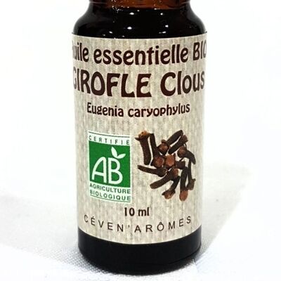 Clove Clous 10ml Organic essential oil