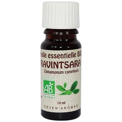 Ravintsara 10ml Organic essential oil