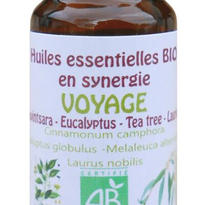Voyage - Ravintsara Eucalyptus Tea tree Laurier