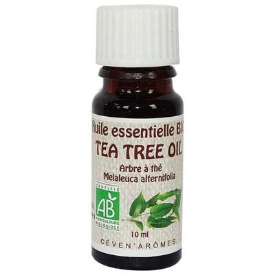 Árbol de té 10ml Aceite esencial orgánico