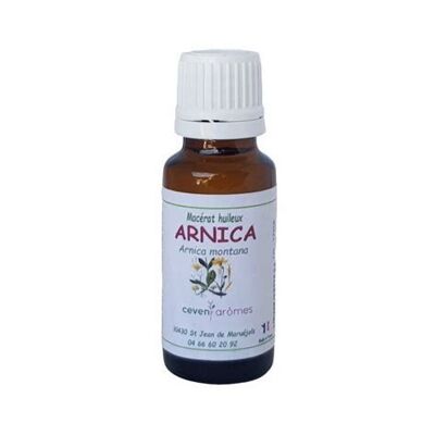 Arnica oily macerate 20ml