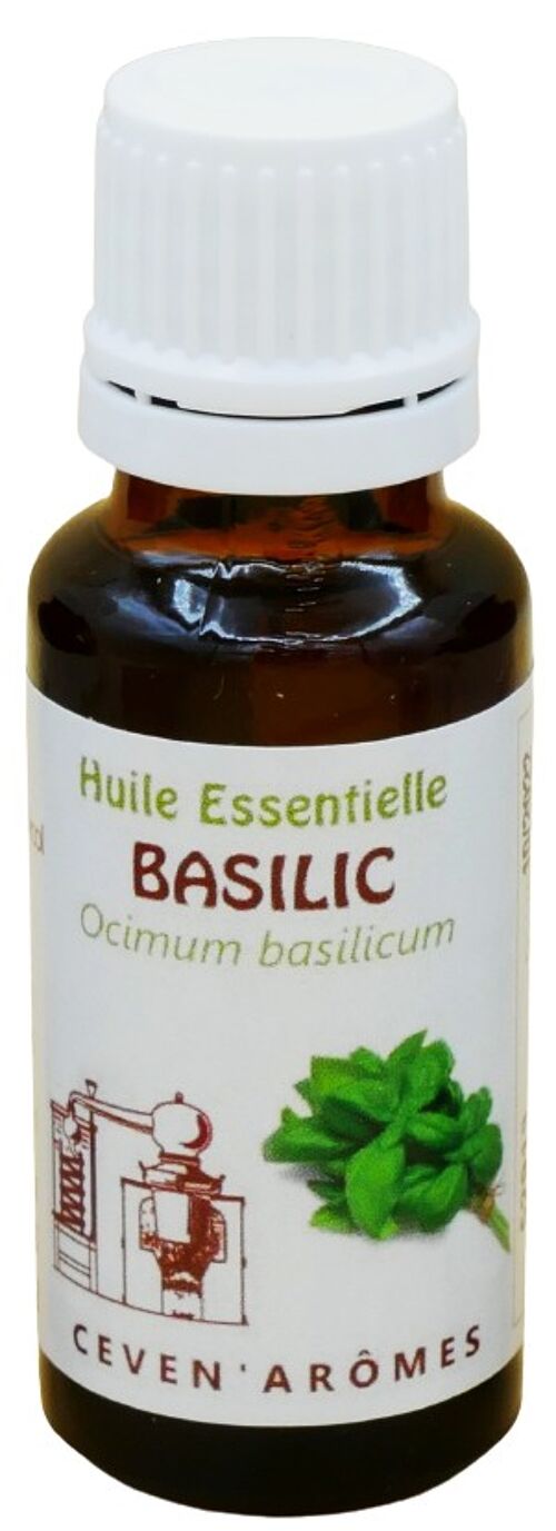 Basilic 20ml Huile Essentielle