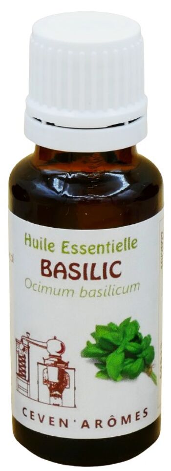 Basilic 20ml Huile Essentielle