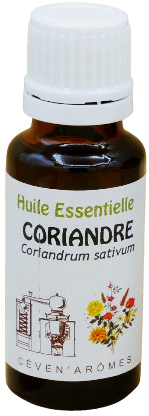 Coriandre 20ml Huile essentielle