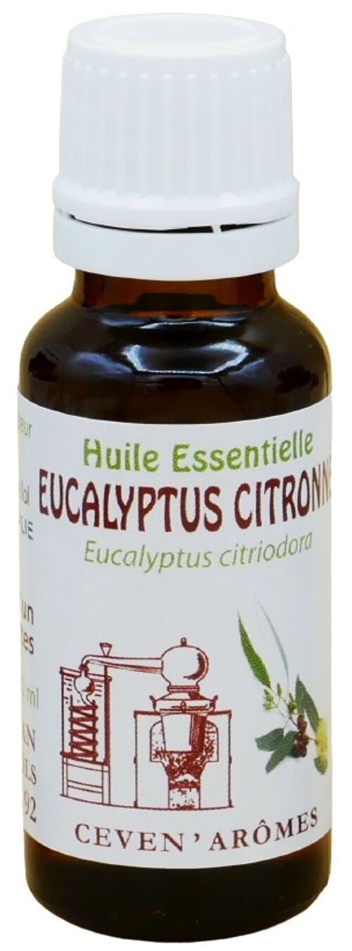 Eucalyptus citronné 20ml Huile essentielle