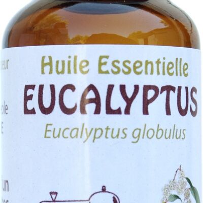 Eucalyptus globulus huile essentielle HEBBD 20ml