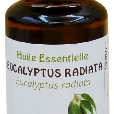 Aceite esencial de eucalipto radiata 20ml