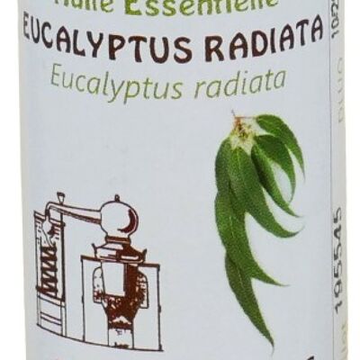 Aceite esencial de eucalipto radiata 20ml