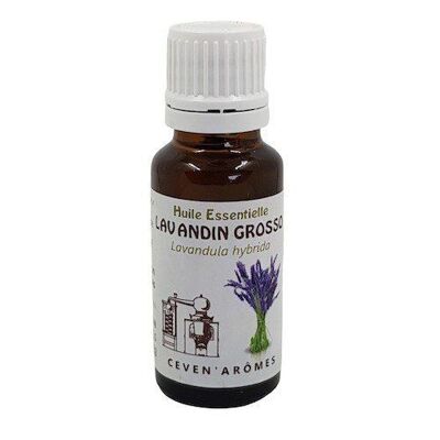 Lavandin Grosso huile essentielle HEBBD 20ml
