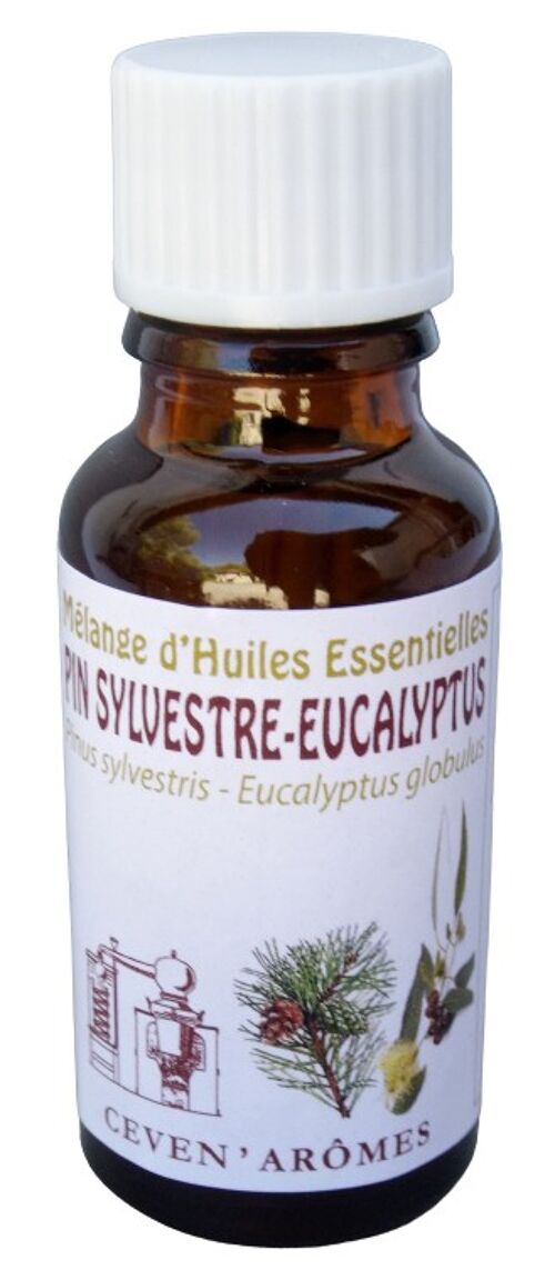 Mélange d'huiles essentielles Pin-Eucalyptus 20ml