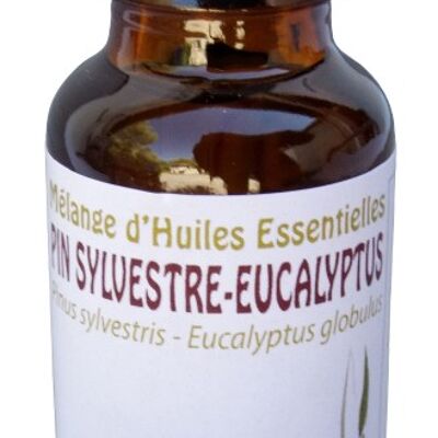 Kiefern-Eukalyptus ätherische Ölmischung 20ml