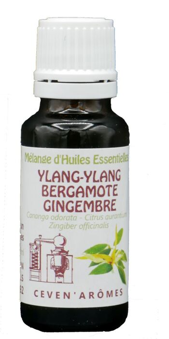 Mélange d'huiles essentielles Sensuel Ylang ylang - Gingembre - Bergamote 20ml Huile essentielle