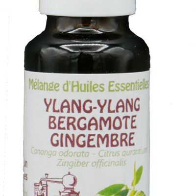 Sensual Mezcla de Aceites Esenciales Ylang Ylang - Jengibre - Bergamota 20ml Aceite Esencial