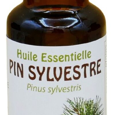 Pine 20ml Essential Oil