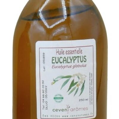 Eucalyptus 250ml Essential Oil