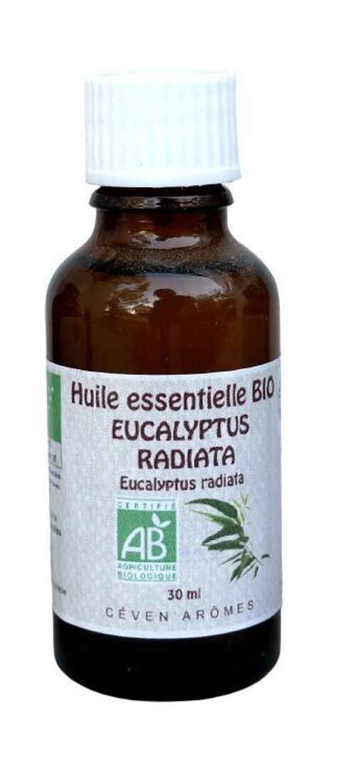 Eucalyptus Radiata 30ml Huile essentielle Bio
