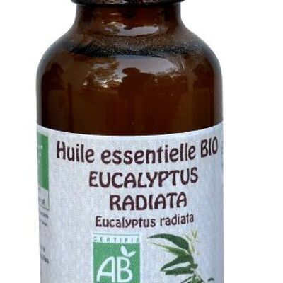 Eucalyptus Radiata 30ml Huile essentielle Bio